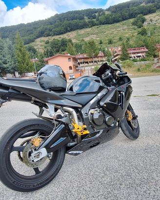codone cbr rr 600 03/04