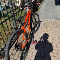 Bici mountainbike