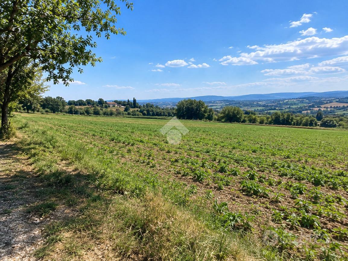 TER. AGRICOLO A BURAGO DI MOLGORA - Vista 4