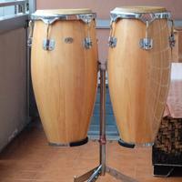 Congas