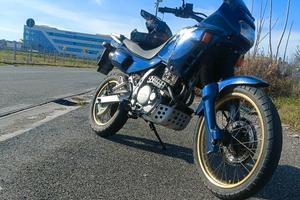 Honda dominator 650
