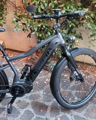 eBike