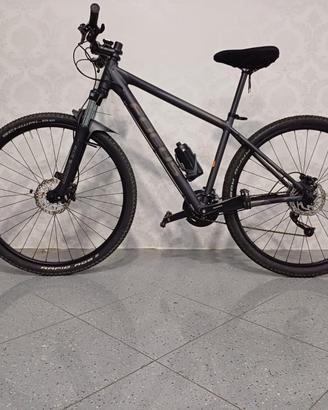 mtb-focus 29