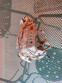 casco softair
