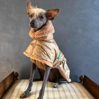 Cappottino per piccolo levriero italiano