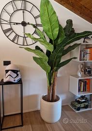 Pianta di Banano artificiale