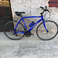 citybike Pinarello