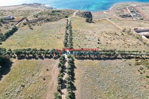 PIANO GUASTELLA - Lotto di terreno di 110.000 mq