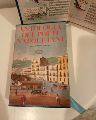 Libro vintage "Enciclopedia dei poeti napoletani" 