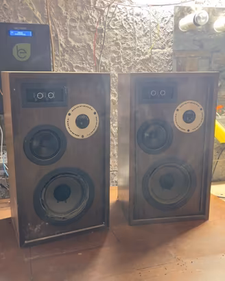 Casse Marantz HD55 — woofer rifoamati