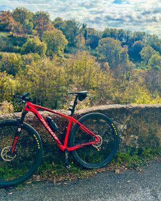 Specialized Stumpjumper