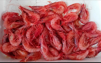 Piccolo laboratorio di cucina /piccola gastronomia