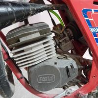 Fantic Regolarità 80 - 1980