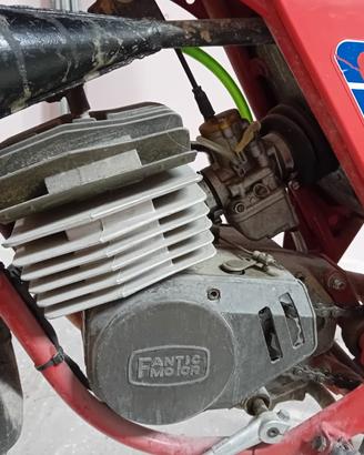 Fantic Regolarità 80 - 1980