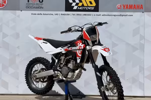 Husqvarna TE 310