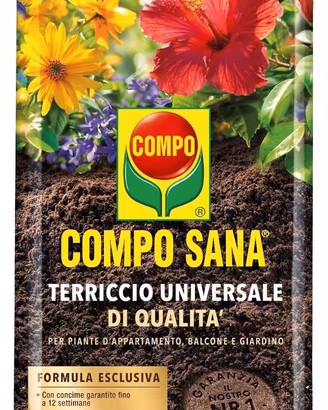 TERRICCIO COMPO