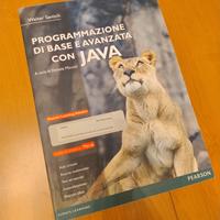 Programmazione di base e avanzata con Java di W. S