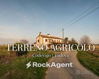 Terreno di 31284 m² a Codevigo
