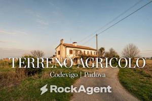 Terreno di 31284 m² a Codevigo