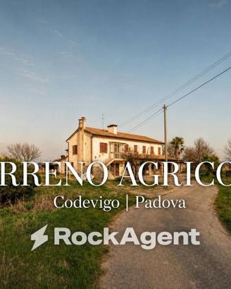 Terreno di 31284 m² a Codevigo