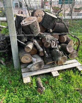 legna  da ardere
