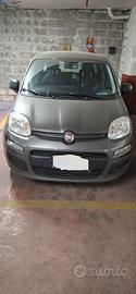 Fiat Nuova Panda 12 Easy S&S
