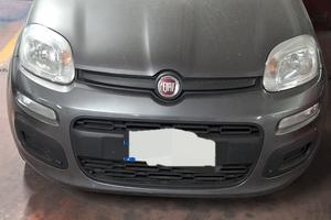 Fiat Nuova Panda 12 Easy S&S