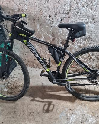 mountainbike licorne