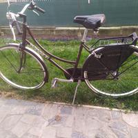 bicicletta Holland 