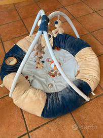 Palestrina nattou neonato