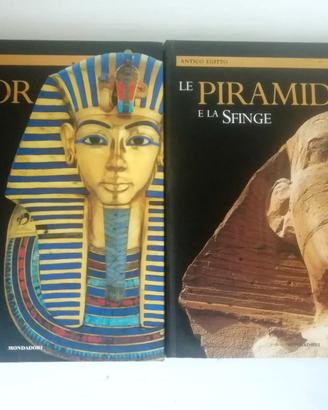 Libri illustrati sulle piú grandi opere della civi