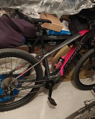 Bicicletta Olympia