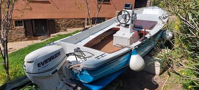 Barca con motore Evinrude E Tec 40