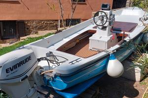 Barca con motore Evinrude E Tec 40