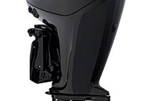 Mercury F115  con 260 ore di moto