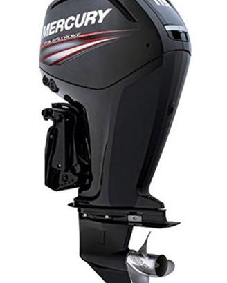 Mercury F115  con 260 ore di moto