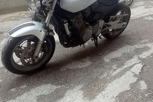 Honda hornet