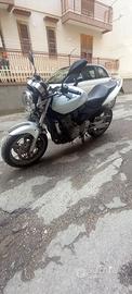 Honda hornet