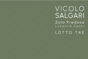 VILLA INDIPENDENTE UNICO LIVELLO ZOLA PREDOSA (GES