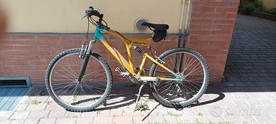 Bicicletta Mountain bike Colnago