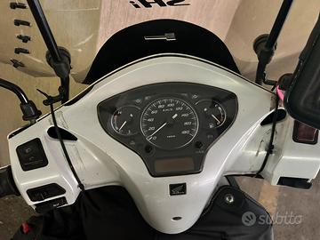 Sh 300 2008