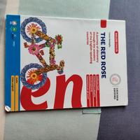 Libro di terza media civica inglese