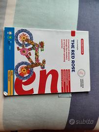 Libro di terza media civica inglese