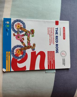 Libro di terza media civica inglese