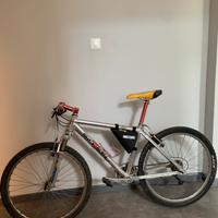 mountain bike ragazzo