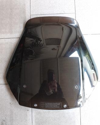 cupolino BMW r1100rs