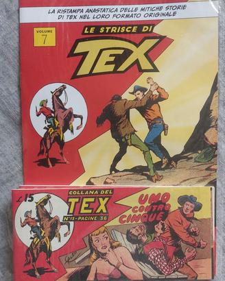 STRISCE DI TEX N.7