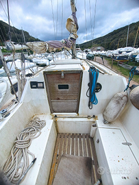 Barca a vela cabinata