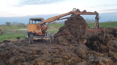 letame di pecora ,il migliore 