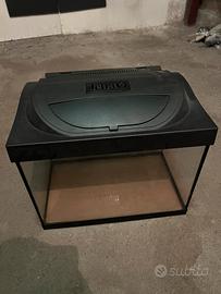 Acquario Pesci 30 litri Tetra